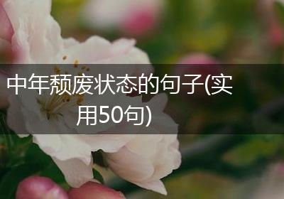 中年颓废状态的句子(实用50句)
