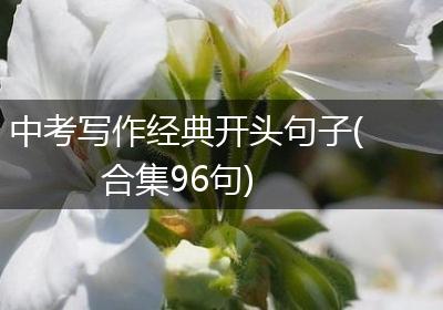 中考写作经典开头句子(合集96句)