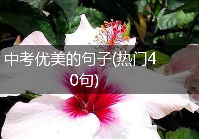 中考优美的句子(热门40句)