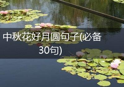 中秋花好月圆句子(必备30句)