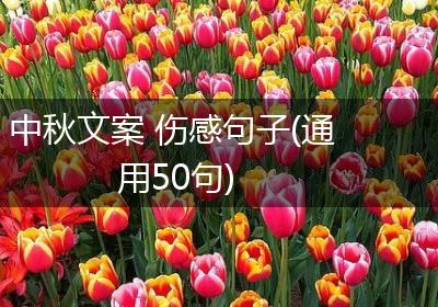 中秋文案 伤感句子(通用50句)