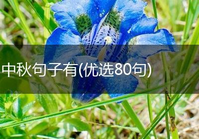 中秋句子有(优选80句)