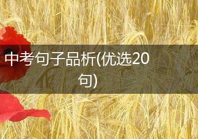中考句子品析(优选20句)