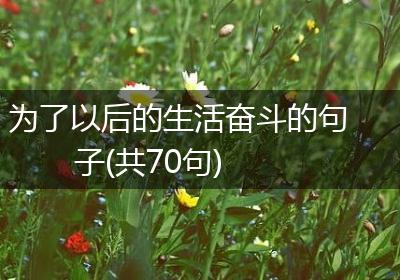 为了以后的生活奋斗的句子(共70句)