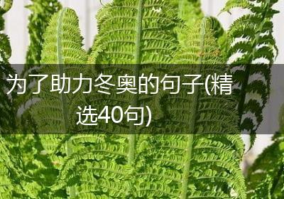 为了助力冬奥的句子(精选40句)
