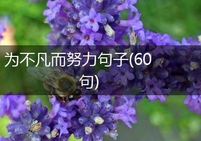 为不凡而努力句子(60句)