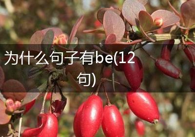 为什么句子有be(12句)