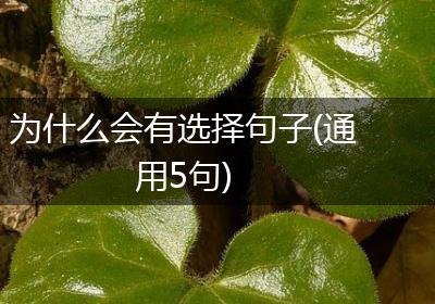 为什么会有选择句子(通用5句)