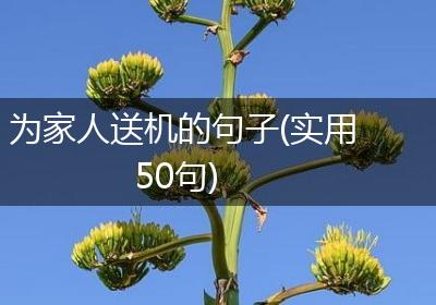 为家人送机的句子(实用50句)
