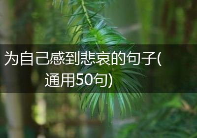 为自己感到悲哀的句子(通用50句)