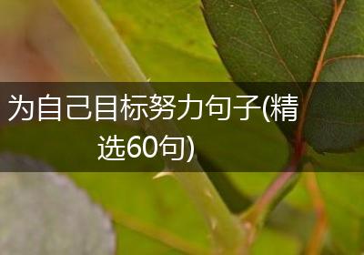 为自己目标努力句子(精选60句)