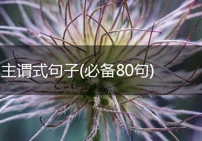 主谓式句子(必备80句)