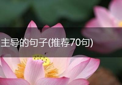 主导的句子(推荐70句)