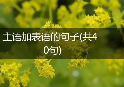 主语加表语的句子(共40句)