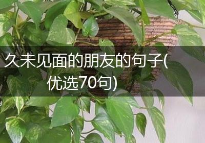 久未见面的朋友的句子(优选70句)