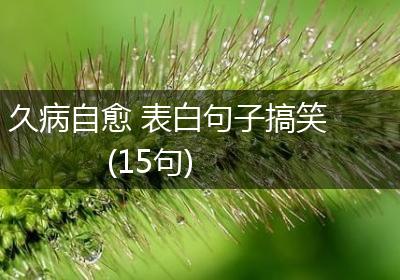 久病自愈 表白句子搞笑(15句)