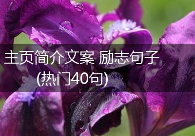主页简介文案 励志句子(热门40句)