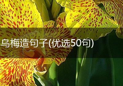 乌梅造句子(优选50句)