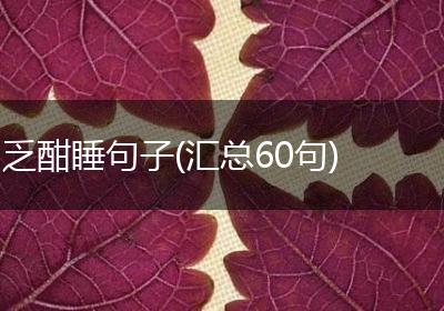乏酣睡句子(汇总60句)