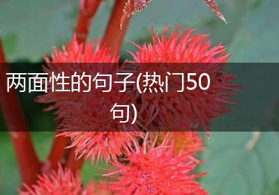 两面性的句子(热门50句)