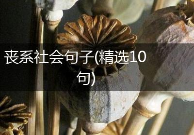 丧系社会句子(精选10句)