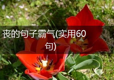 丧的句子霸气(实用60句)