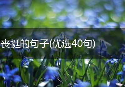 丧挺的句子(优选40句)