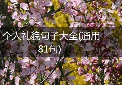 个人礼貌句子大全(通用81句)