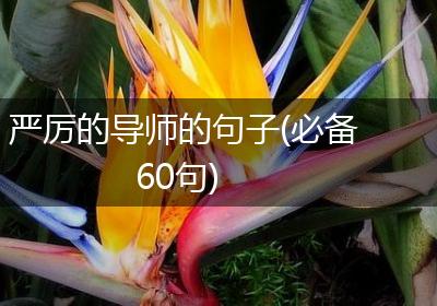 严厉的导师的句子(必备60句)