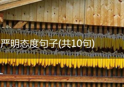 严明态度句子(共10句)