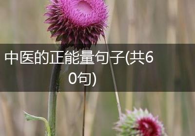 中医的正能量句子(共60句)