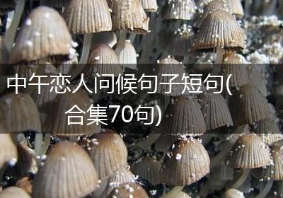 中午恋人问候句子短句(合集70句)