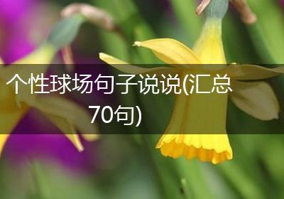 个性球场句子说说(汇总70句)