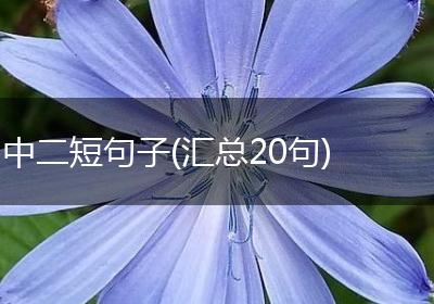 中二短句子(汇总20句)