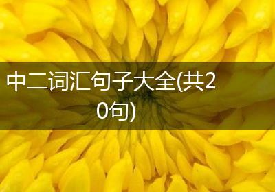中二词汇句子大全(共20句)