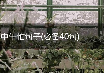 中午忙句子(必备40句)