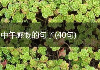 中午感慨的句子(40句)