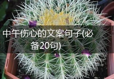中午伤心的文案句子(必备20句)