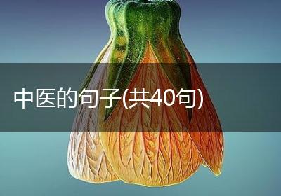 中医的句子(共40句)