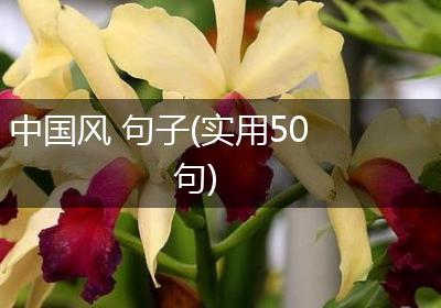 中国风 句子(实用50句)