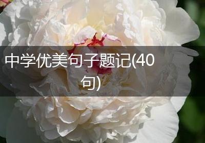 中学优美句子题记(40句)