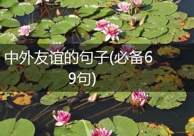 中外友谊的句子(必备69句)
