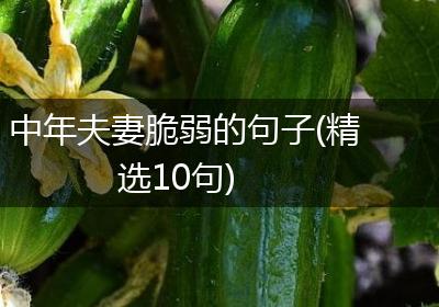 中年夫妻脆弱的句子(精选10句)