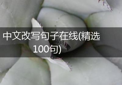 中文改写句子在线(精选100句)