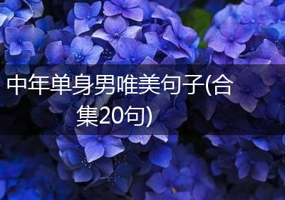 中年单身男唯美句子(合集20句)
