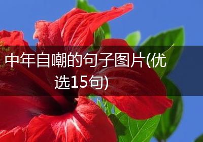 中年自嘲的句子图片(优选15句)