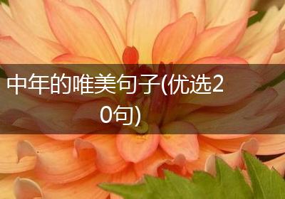 中年的唯美句子(优选20句)