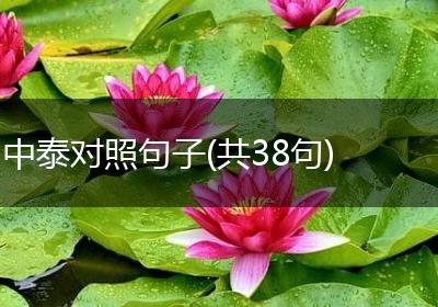 中泰对照句子(共38句)