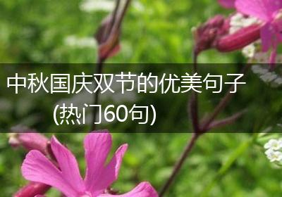 中秋国庆双节的优美句子(热门60句)