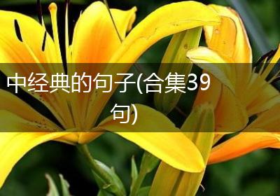 中经典的句子(合集39句)